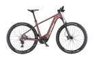 KTM MACINA TEAM 792 GLORIOUS SUNSET MATT (SILVER+BLACK) SH DEORE 10 LG +BOSCH PT-CX7K4