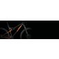 KTM SCARP 294 FLAMING BLACK (SPACE ORANGE) SRAM SX 12