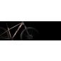   KTM PENNY LANE 271 MUTED ROSE MATT 1X10 SHIMANO CUES VÁLTÓ XS/32 VÁZMÉRET
